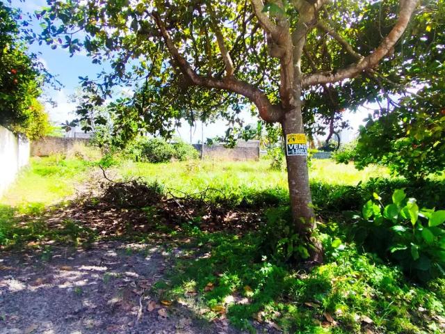 Terreno venda em Região Geográfica Imediata do Recife, Região Metropolitana do Recife