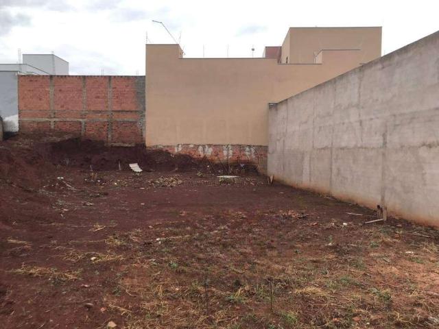 Terreno venda em Região Imediata de Catanduva, Jataúba