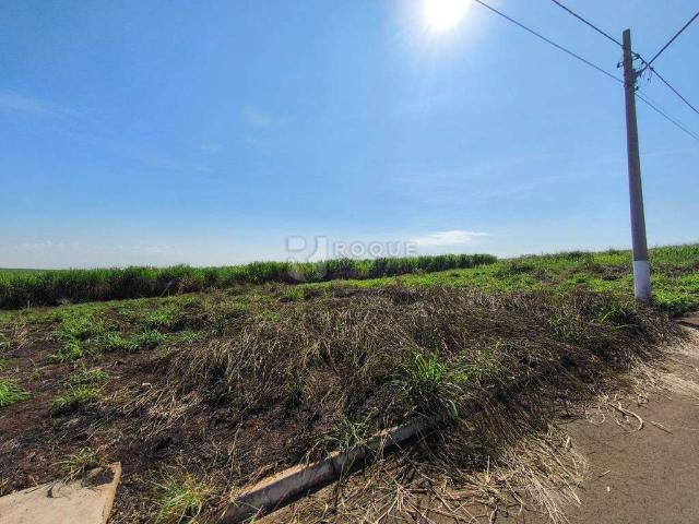 Terreno venda em Iracemápolis, Região Geográfica Intermediária de Campinas