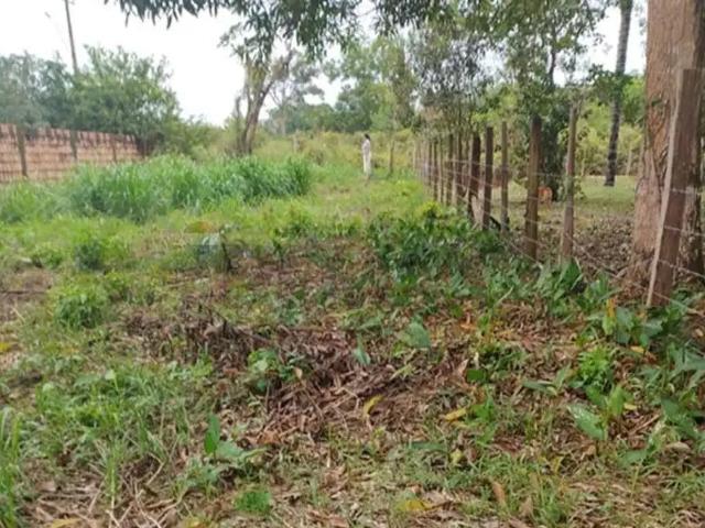 Terreno venda em Região Geográfica Imediata de Manaus, Caapiranga