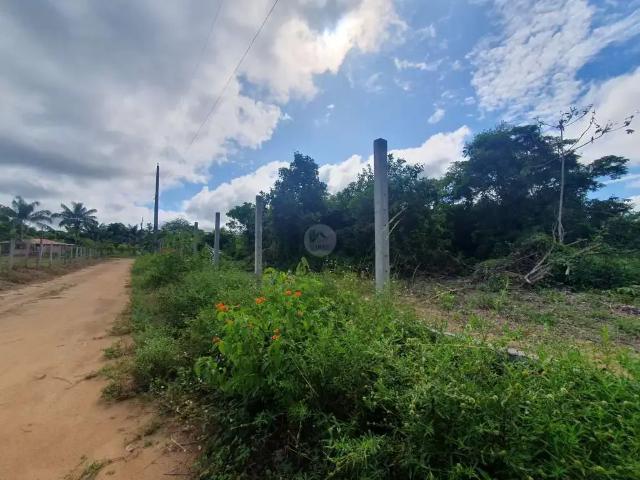 Terreno venda em Região Geográfica Imediata de Manaus, Caapiranga