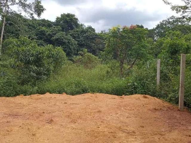 Terreno venda em Região Geográfica Imediata de Manaus, Caapiranga