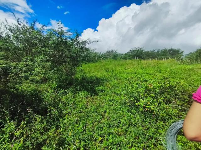Terreno venda em Região Geográfica Imediata de Feira de Santana, Região Metropolitana de Feira de Santana