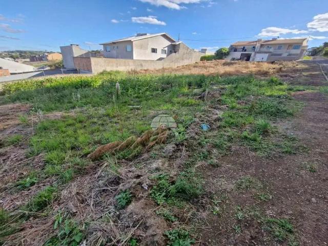 Terreno venda em Região Geográfica Imediata de Irati, Irati