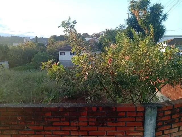 Terreno venda em Região Geográfica Imediata de Irati, Irati