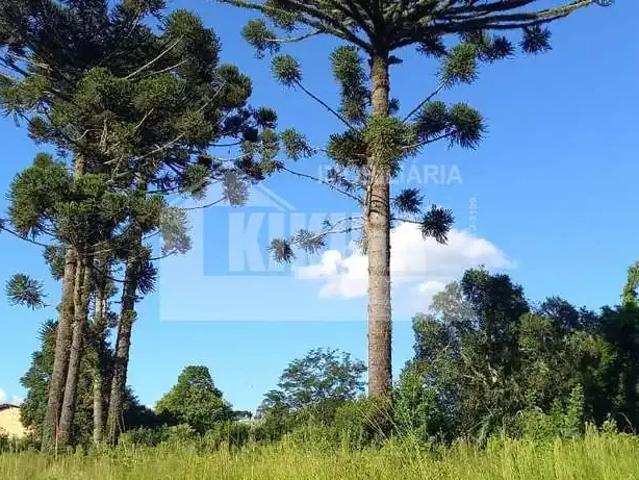 Terreno venda em Região Geográfica Imediata de Irati, Irati