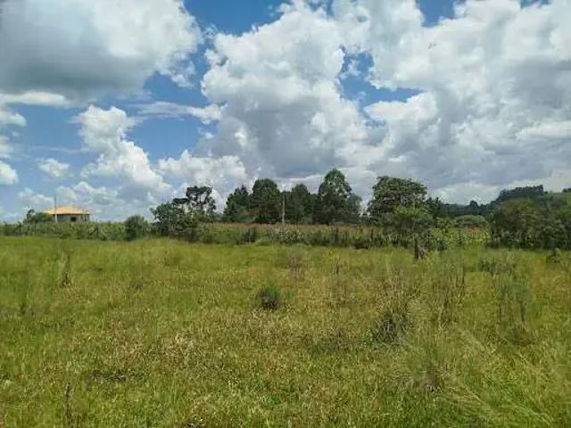 Terreno venda em Região Geográfica Imediata de Irati, Irati