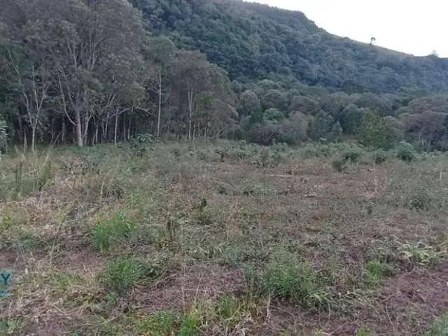 Terreno venda em Região Geográfica Imediata de Irati, Irati