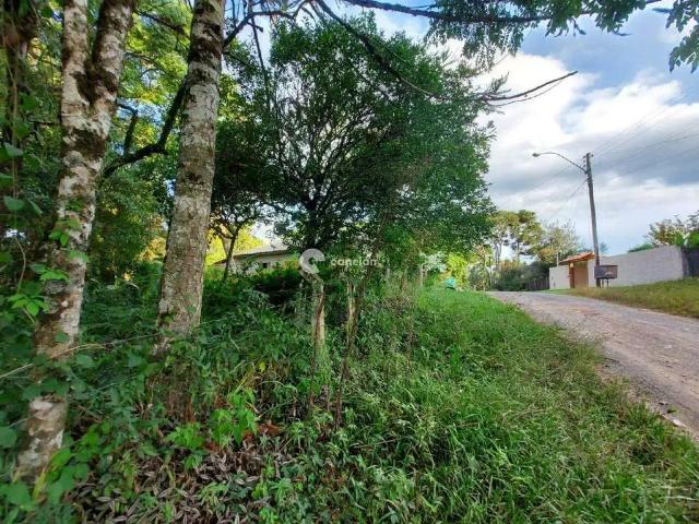 Terreno venda em Itaara, Região Geográfica Intermediária de Santa Maria