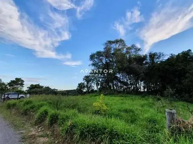 Terreno venda em Região Geográfica Imediata de Frederico Westphalen, Pinhal