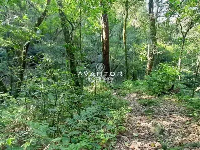 Terreno venda em Parque Pinhal, Itaara