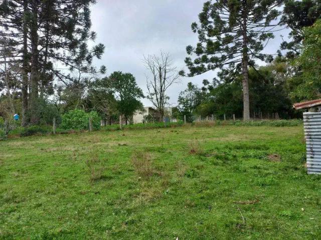 Terreno venda em Itaara