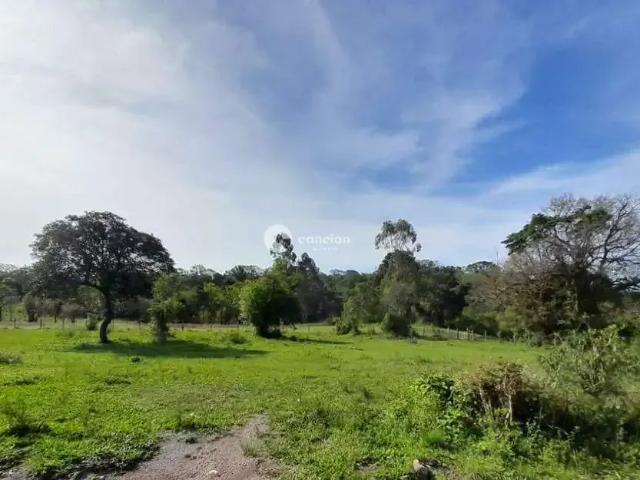 Terreno venda em Região Geográfica Imediata de Santa Maria, Itaara