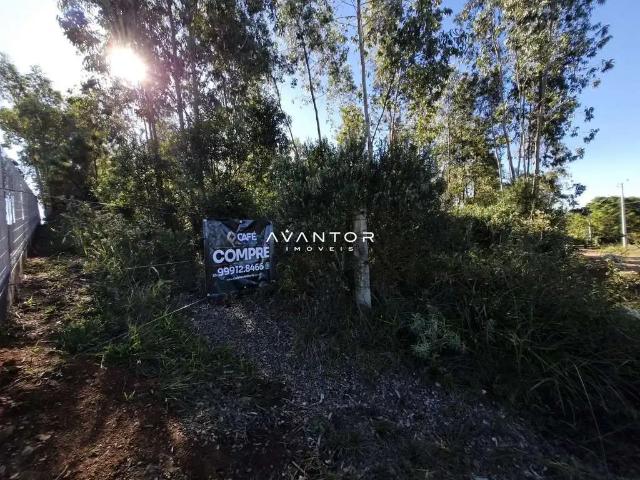 Terreno venda em Parque Pinhal, Itaara