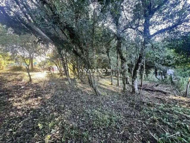 Terreno venda em Itaara