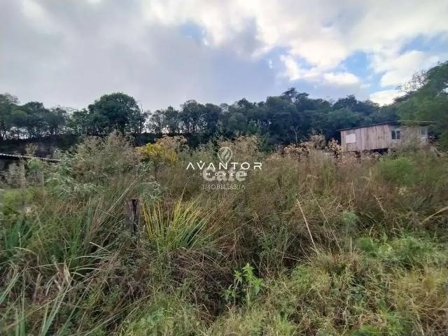 Terreno venda em Região Geográfica Imediata de Caxias do Sul, Caxias do Sul