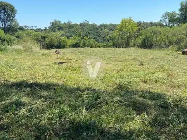 Terreno venda em Itaara