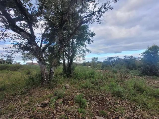 Terreno venda em Região Geográfica Imediata de Santa Maria, Itaara