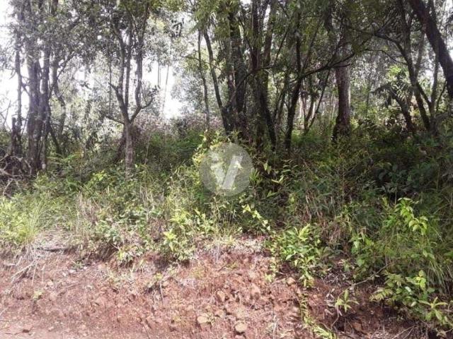 Terreno venda em Região Geográfica Imediata de Santa Maria, Itaara