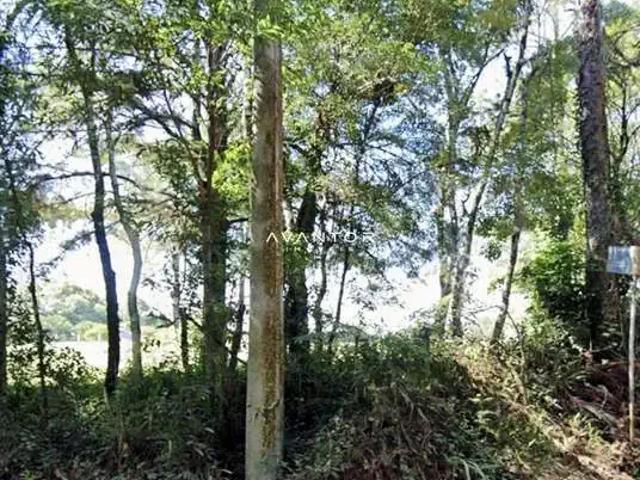 Terreno venda em Parque Pinhal, Itaara