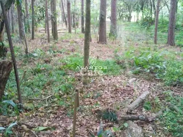 Terreno venda em Cidade Oásis, Itaara