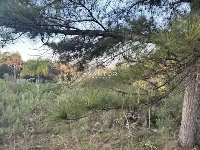Terreno venda em Itaara