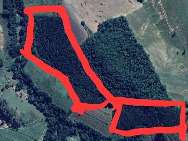 Terreno venda em Região Imediata de Itapeva, Itaberá