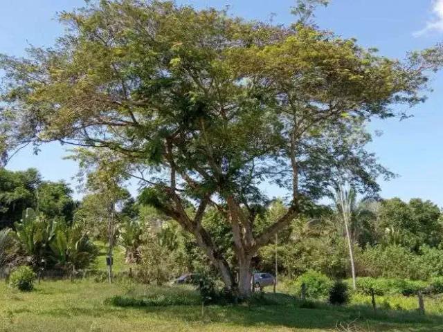 Terreno venda em Região Geográfica Imediata do Rio de Janeiro, Região Metropolitana do Rio de Janeiro