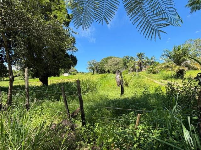 Terreno venda em Ipiiba, São Gonçalo