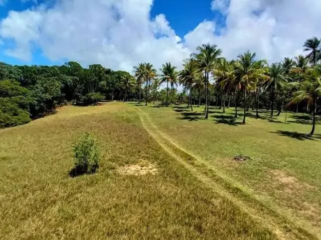 Terreno venda em Região Geográfica Imediata de Ilhéus – Itabuna, Itacaré