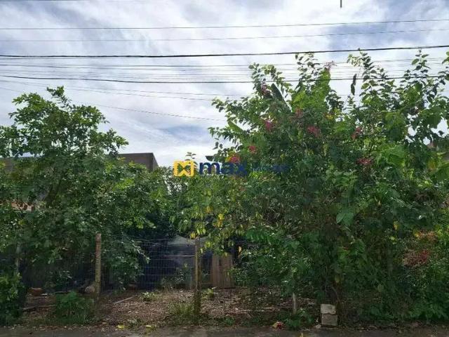 Terreno venda em Região Geográfica Imediata de Itajaí, Itajaí
