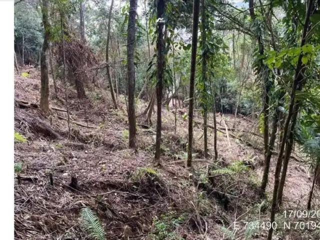 Terreno venda em Região Geográfica Imediata de Itajaí, Itajaí
