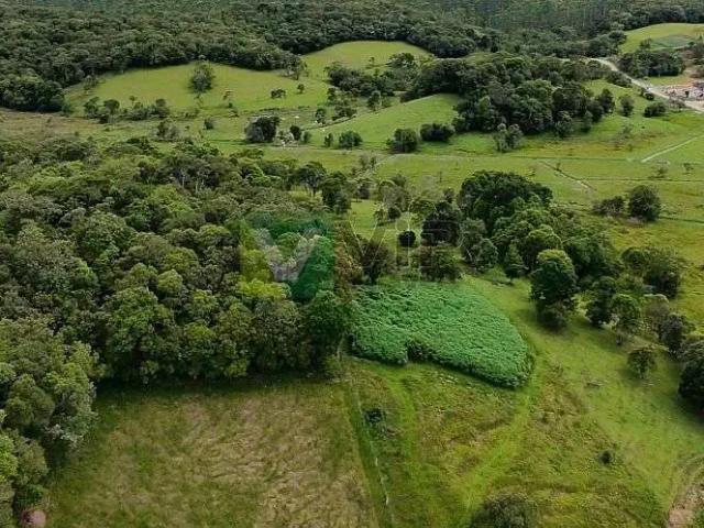 Terreno venda em Região Geográfica Imediata de Itajaí, Itajaí