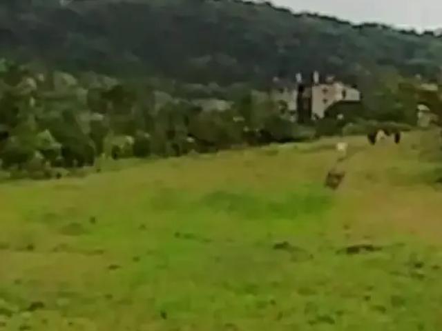 Terreno venda em Região Geográfica Imediata de Itajaí, Itajaí