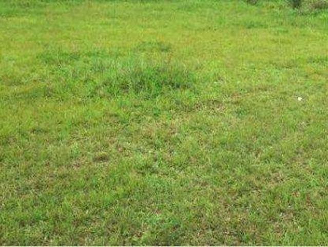 Terreno venda em Itajaí, Vila Operária