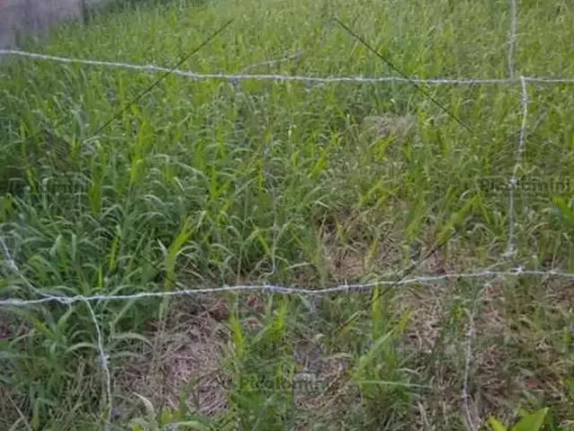Terreno venda em Região Imediata de Santos, Região Metropolitana da Baixada Santista