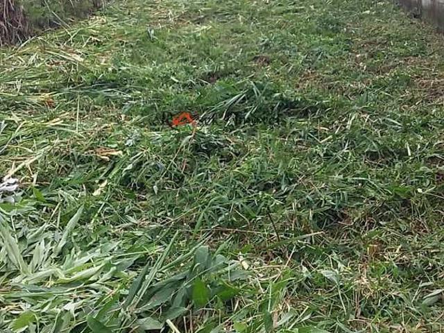 Terreno venda em Região Imediata de Santos, Região Metropolitana da Baixada Santista