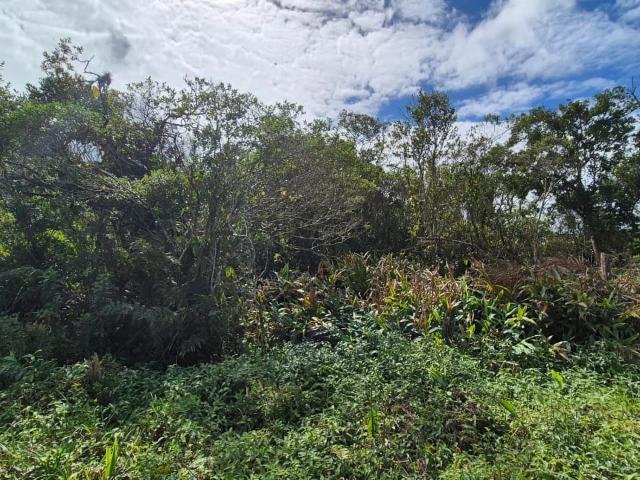 Terreno venda em Região Imediata de Santos, Região Metropolitana da Baixada Santista