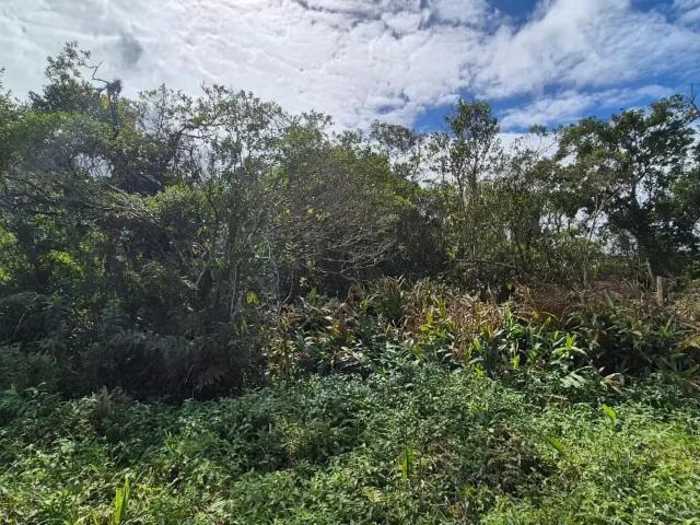 Terreno venda em Região Imediata de Santos, Região Metropolitana da Baixada Santista