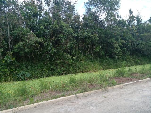 Terreno venda em Região Imediata de Santos, Região Metropolitana da Baixada Santista