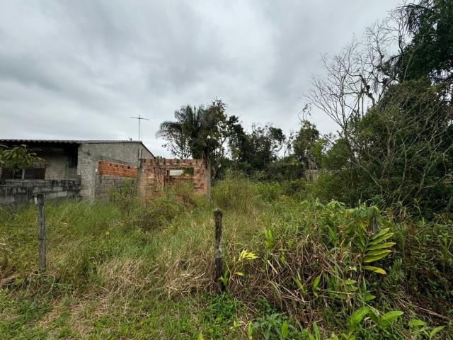 Terreno venda em Itanhaém