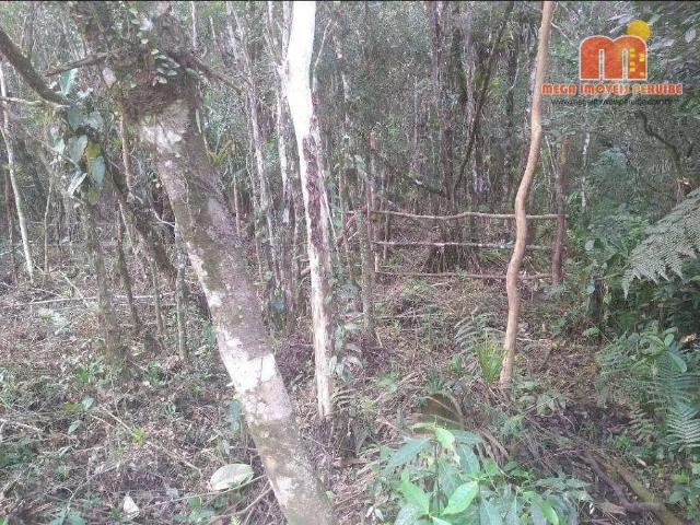 Terreno venda em Região Imediata de Sorocaba, Região Metropolitana de Sorocaba