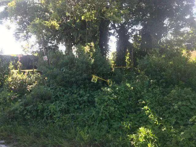 Terreno venda em Região Imediata de Santos, Região Metropolitana da Baixada Santista