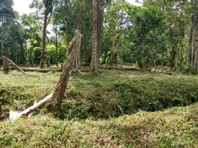 Terreno venda em Região Imediata de Santos, Região Metropolitana da Baixada Santista