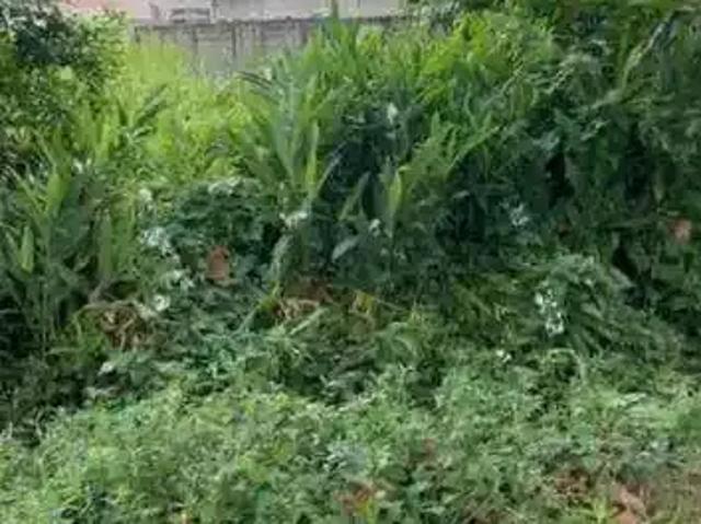 Terreno venda em Região Imediata de Santos, Região Metropolitana da Baixada Santista