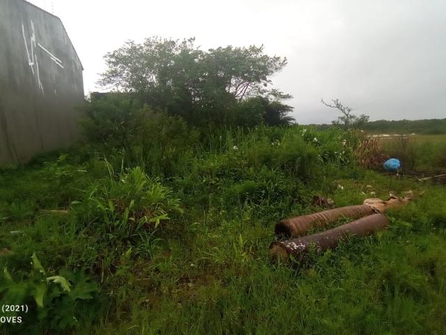 Terreno venda em Peruíbe