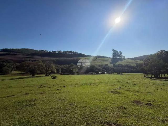 Terreno venda em Região Geográfica Imediata de Pato Branco, Itapejara d'Oeste