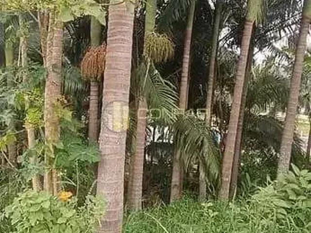 Terreno venda em Região Geográfica Imediata de Itajaí, Itapema