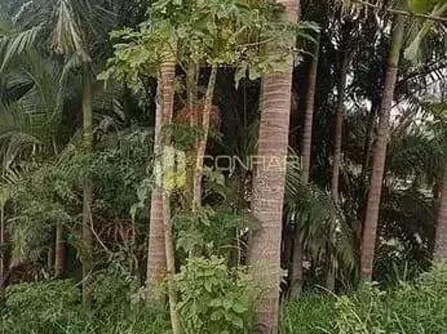Terreno venda em Região Geográfica Imediata de Itajaí, Itapema