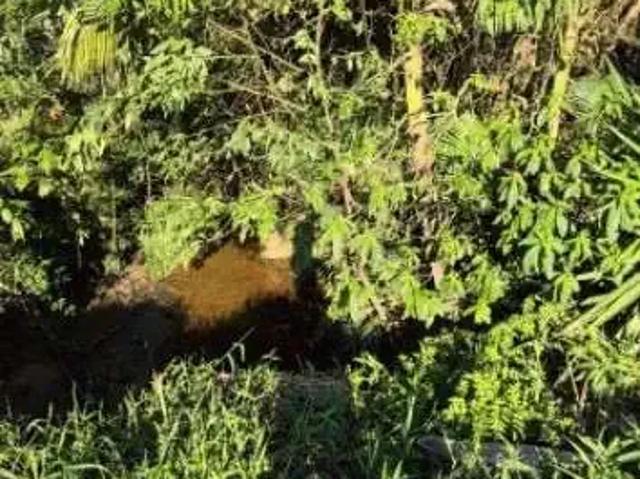 Terreno venda em Região Geográfica Imediata de Itajaí, Itapema